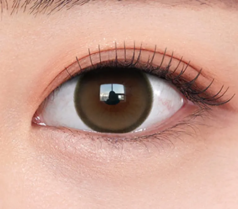 EOTD 모카브라운